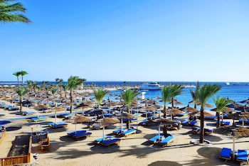 Beach Albatros Resort - All Inclusive