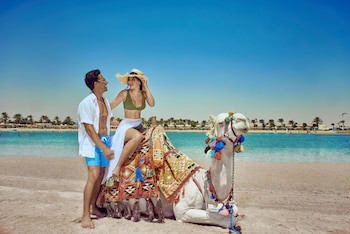 Desert Rose Resort