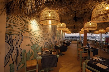 Desert Rose Resort