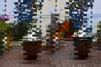 Columbia Beach Resort