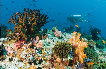 Baros Maldives