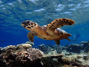Baros Maldives