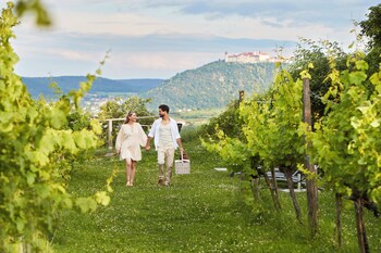 Steigenberger Hotel & Spa Krems