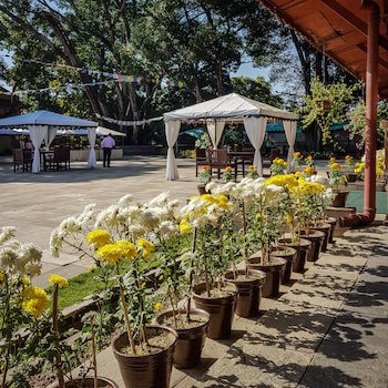 Gokarna Forest Resort