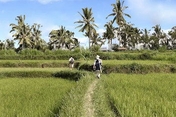 Hanging Gardens Of Bali