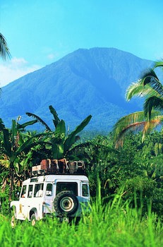 Hanging Gardens Of Bali