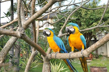 Caesar Park Kenting