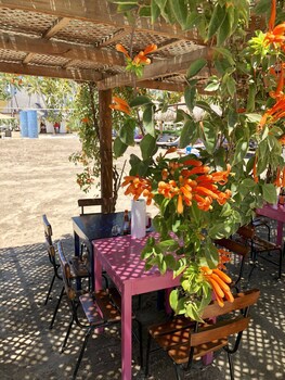 Club Regina Puerto Vallarta