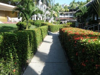 El Tropicano
