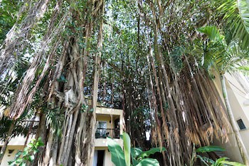 Hibiscus Boutique Hotel