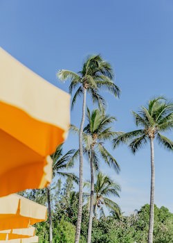 Hotel Le Recif