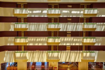 Galeria Plaza Veracruz By Brisas