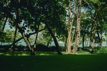 Casa Colonial Beach & Spa