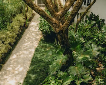 Casa Colonial Beach & Spa