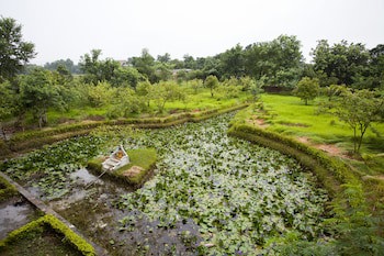 Buddha Maya By Kgh Group
