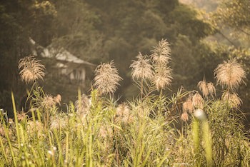 Four Seasons Tented Camp Golden Triangle