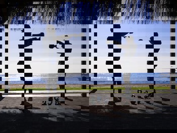 Rixos Premium Belek - The Land Of Legends Access