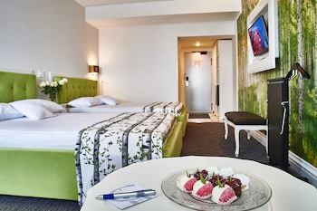 Hotel Continental Forum Arad