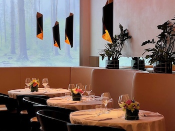 Arli Hotel Business and Wellness galeri fotoğrafı