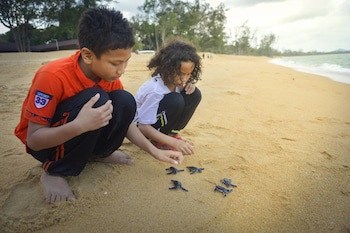 Erya By Suria Cherating