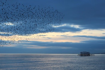 Drakes Of Brighton