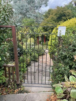 Carlton Court
