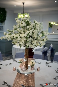 Birch Hotel