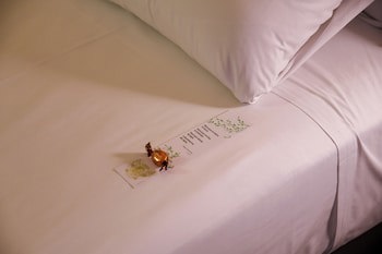 Sercotel Palacio De Tudemir