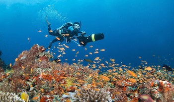 Four Seasons Maldives At Landaa Giraavaru