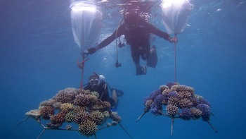 Four Seasons Maldives At Landaa Giraavaru