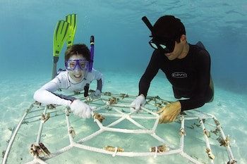 Four Seasons Maldives At Landaa Giraavaru