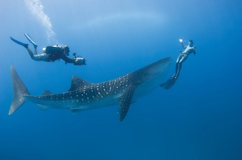 Four Seasons Maldives At Landaa Giraavaru