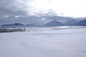 Hotel Hamar
