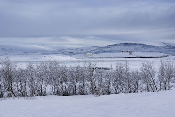 Hotel Hamar