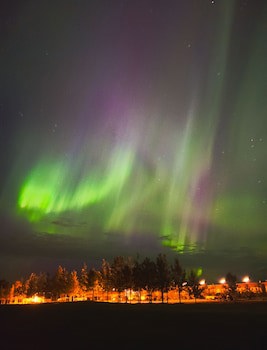 Hotel Hamar