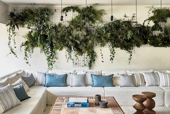 Phaea Cretan Malia, a Member of Design Hotels fotoğrafı
