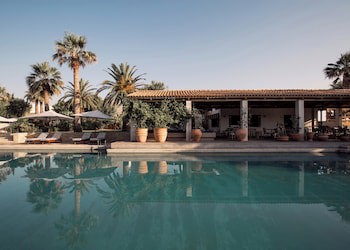 Phaea Cretan Malia, a Member of Design Hotels fotoğrafı