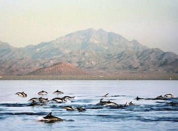 Loreto Bay Golf Resort & Spa At Baja