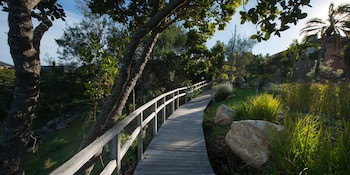 Pezula Nature Retreat