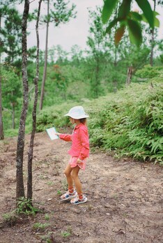 Hidden Valley Wilderness Lodge