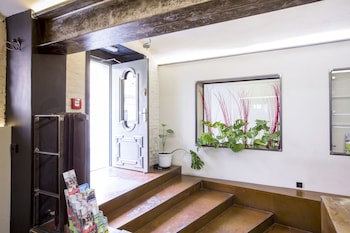 Sophies Hostel fotoğrafı