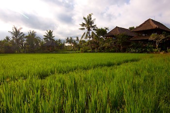 Amatara Agung Raka (Adults Only)