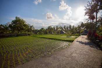 Amatara Agung Raka (Adults Only)
