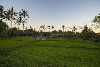 Amatara Agung Raka (Adults Only)