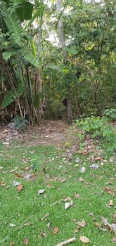 Albrook Inn