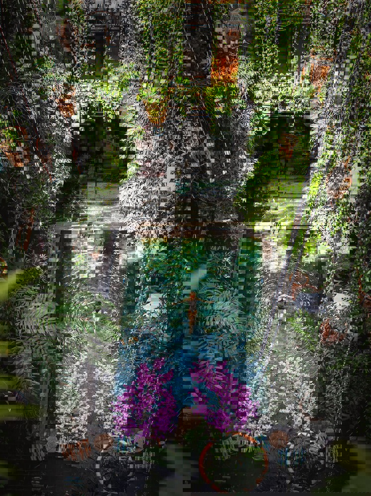 Manon Les Suites Guldsmeden