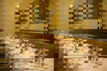 Kalyon Hotel Istanbul