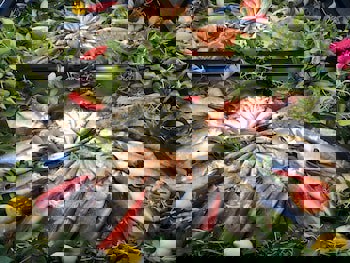 Kalyon Hotel Istanbul