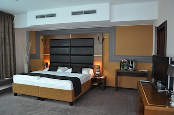 Art Hotel William