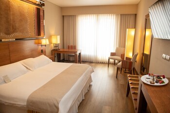 Alejandro I Hotel